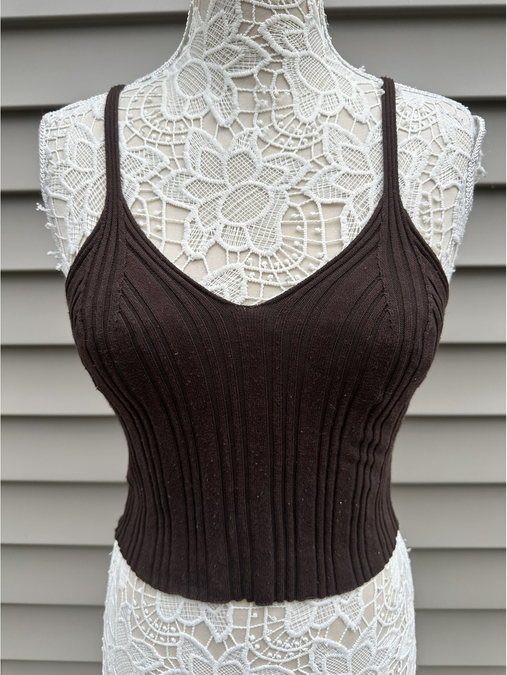Cider Brown Ribbed Knit Crop Top Medium Minimalist Casual Contemporary